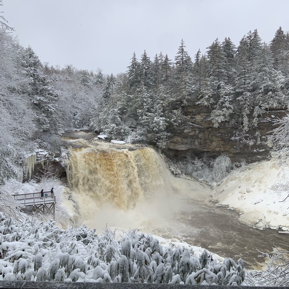 Meet your Posher, Jordan - Picture 1 of 2